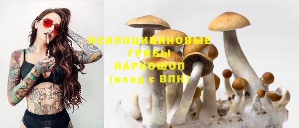 прущая мука Баксан