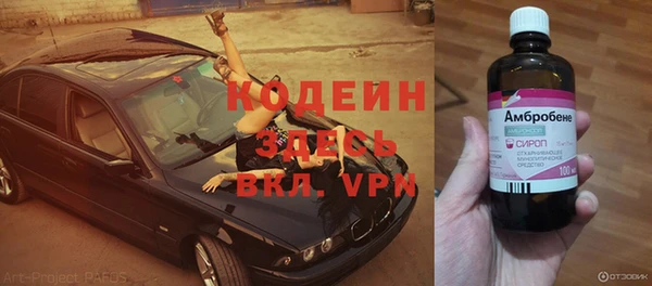 шишки Балахна