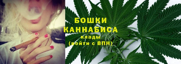 шишки Балахна