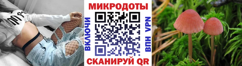 МЕГА tor  Семилуки  Псилоцибиновые грибы ЛСД  купить  сайты 